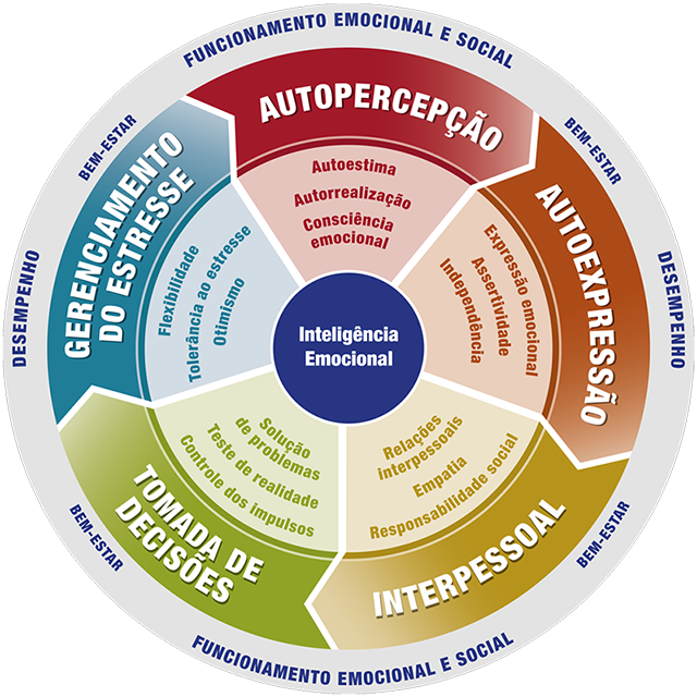Copyright ©2011 Multi-Health Systems Inc, All Rights Reserved. Based on the Bar-On EQ-i model by Reuven Bar-On, copyright 1997
