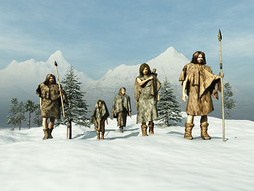 Homo sapiens