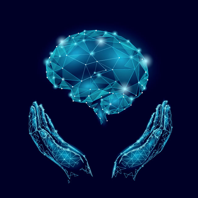 Figura 1.1 Cérebro social.