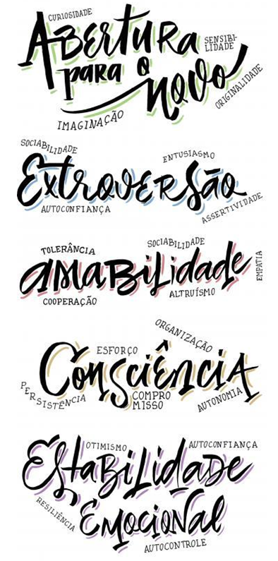 Figura 1.2 Os cinco eixos das competências socioemocionais.